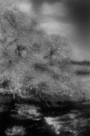 IR28