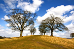 Lyme Park1