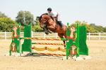 SBM_001569