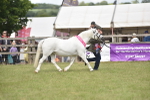SBM_16144