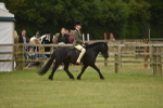 SBM_10687