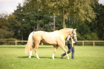 SBM_62898