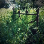 Engulfing Cleavers