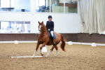 SBM_000931