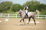 SBM_007950