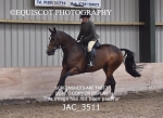 JAC_3511