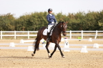 SBM_016945