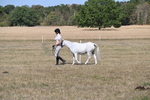 WJ6_9425