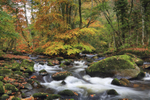 River Teign Rush