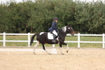 SBM_00878