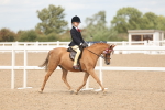 SBM_15963