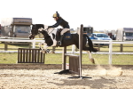 SBM_002915