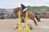BPP_3735