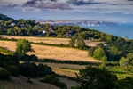 z4404 Summer Bales, Luccombe
