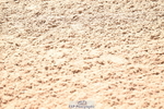 260513B-105120-00359