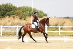 SBM_003097