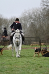 Berks & Bucks - Loddon Court Farm - 11-01-26 portfolio