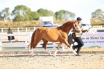 SBM_08438