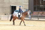SBM_000184