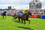 220826-Race 2-Infraad-9791