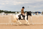 SBM_15657