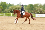 SBM_005649