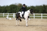 SBM_017993