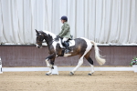 SBM_000849