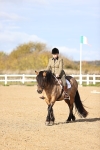 SBM_000929