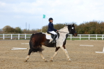SBM_002213