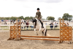 SBM_06089