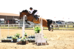 SBM_001914