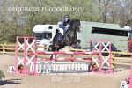 BPP_1733