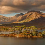 Pine Island