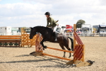 SBM_03354