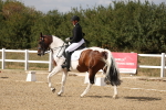 SBM_015123