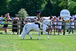 SBM_06013