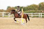 SBM_007299