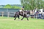 SBM_17383