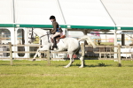 SBM_20117