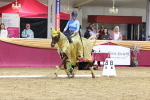 SBM_09835