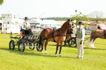 SBM_00340