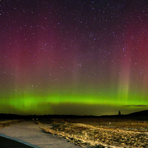 The Northern Lights shining bright with some Easter Colors early on Good Friday Morning 2025 at Pennfield Ridge, NB.