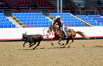 3HRodeo8-11-25_PRCASteer_03085_