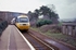 31st March 1985