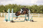 SBM_008590