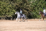 WJ6_7804