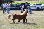 WJ6_4788