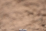 230810A-093534-00104