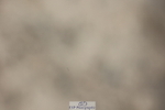 250718A-163015-02859